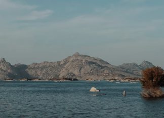 Tenasüp Örnekleri: Edebiyatta ve Günlük Hayatta 5 Örnek examples of tenasup 5 examples