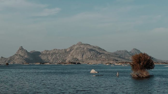 examples of tenasup 5 examples